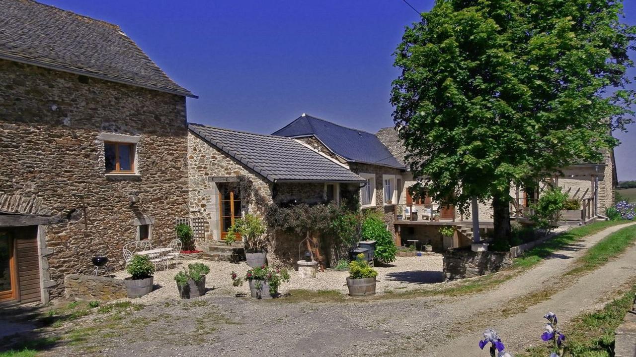 Domaine De Lasfonds Rieupeyroux  Bagian luar foto